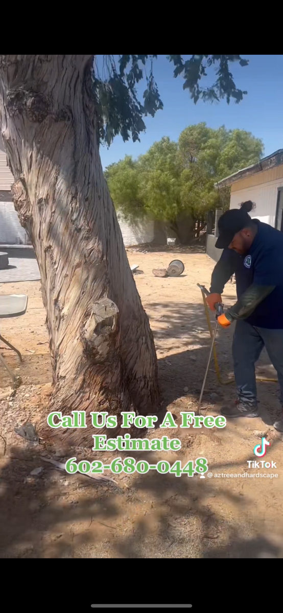 3 Stage Treatment Fertilizer for AZ Tree & Hardscape Co in Surprise, AZ