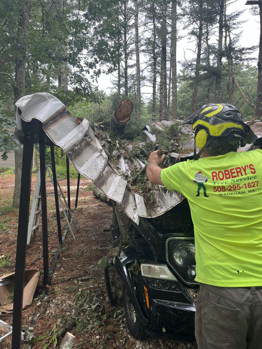 Tree Trimming for Robery's Tree Service in West Wareham, MA