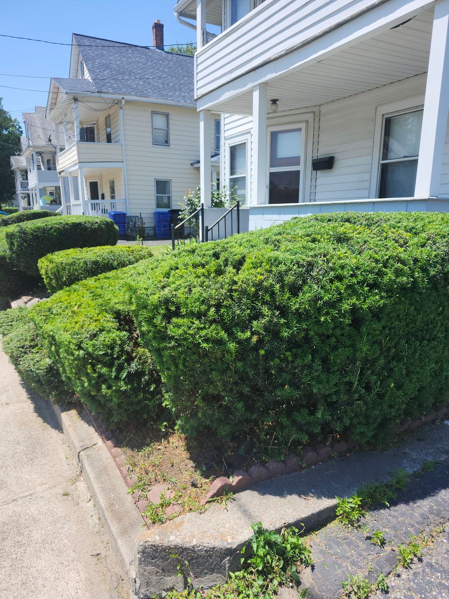 Landscape Installation for Landscape Innovations LLC in Torrington, CT