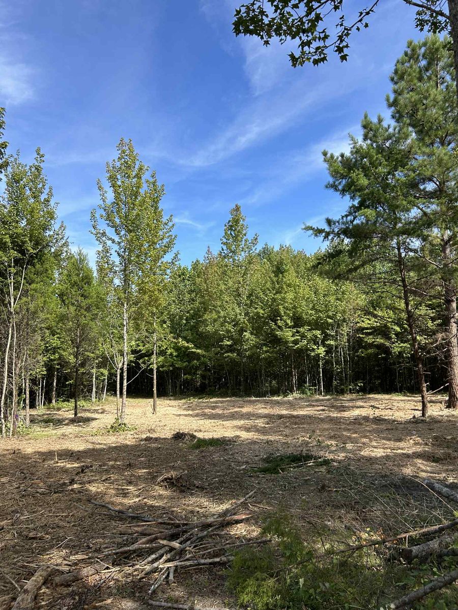 Excavation and repair services for Z's Land Management & Forestry Mulching in Smithville, TN