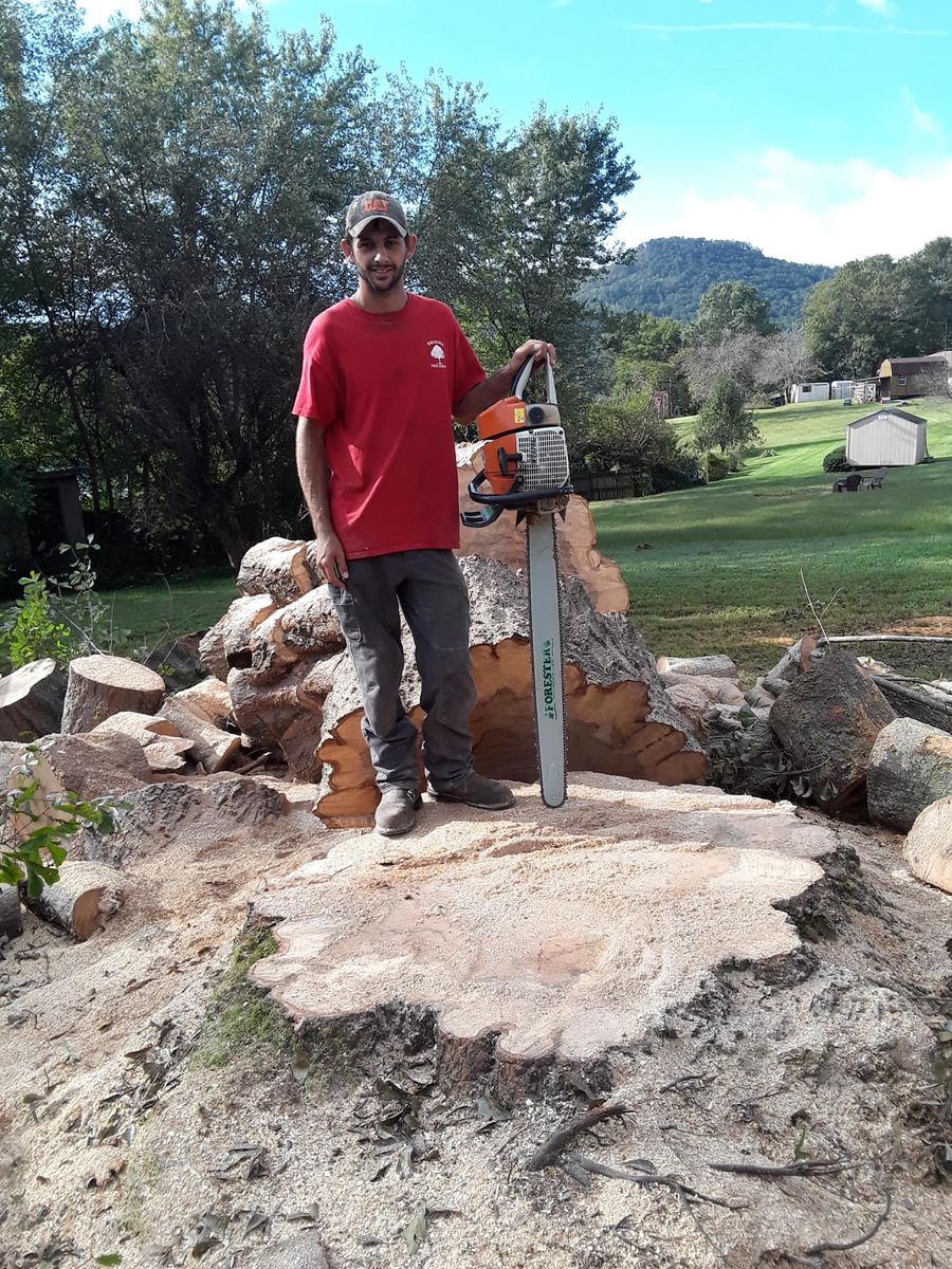 Tree Removal for Brooks Tree Service in Casar, NC