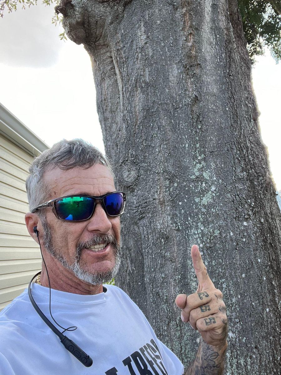 Tree Removal for Bills Tree Service in Valrico, FL