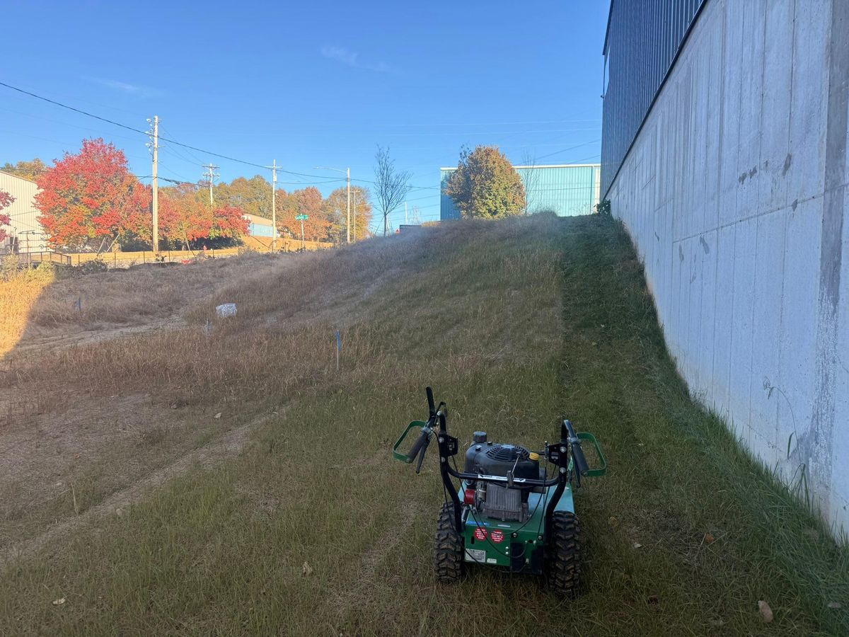 Other Lawn Maintenance for America's Top Pick Lawn & Landscaping in Gastonia, NC