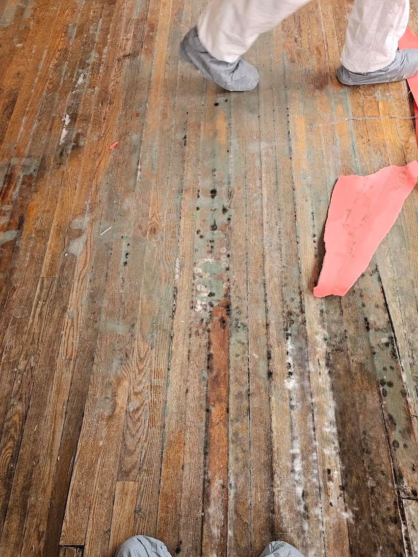 Mold Remediation for Turbotime Construction in Farmington, NM