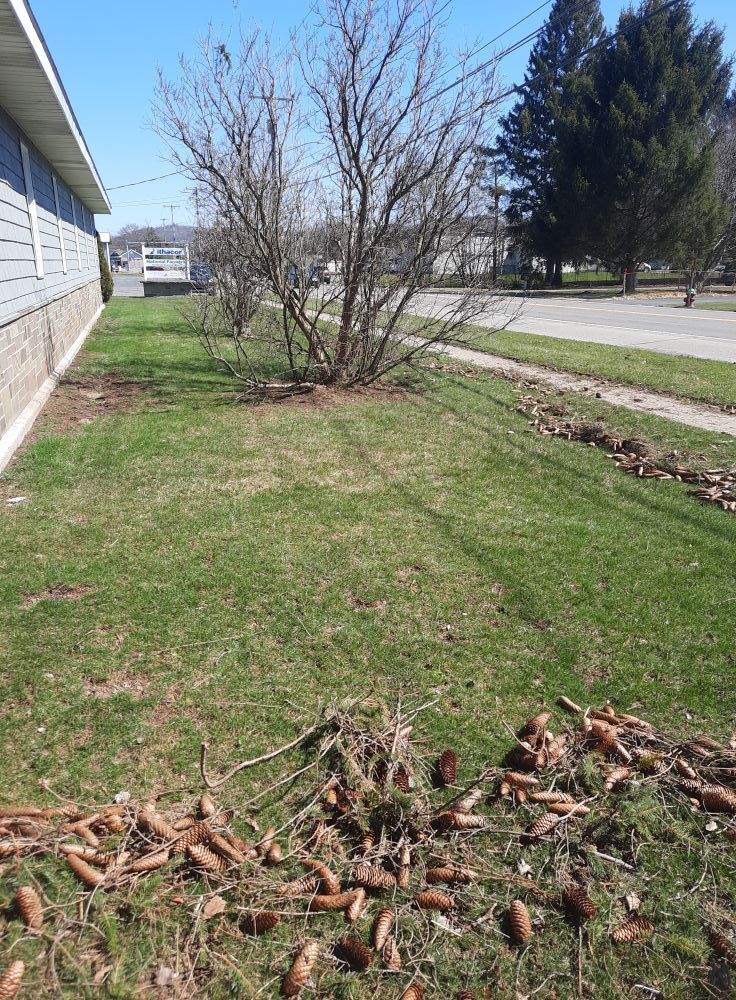 Drainage for Summit Landscape & Construction in Cortland, NY