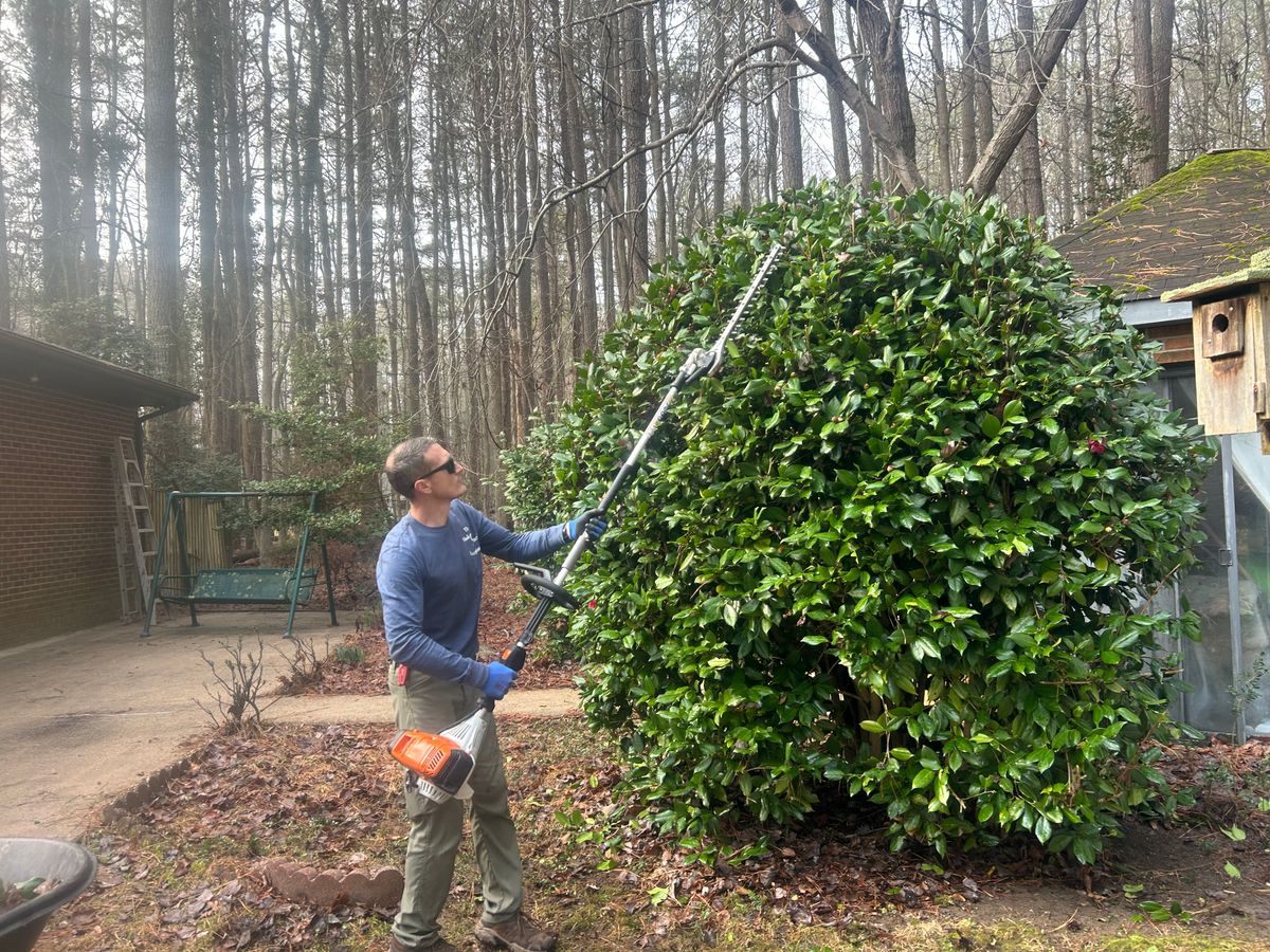Shrub and Plant Trimming for The Whole 9 Yards Landscape VA in Heathsville, VA