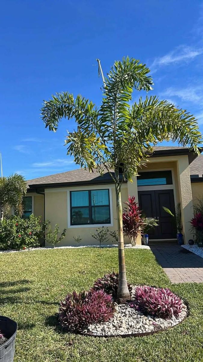 Landscape Design & Installation for Lawn Caring Guys in Cape Coral, FL