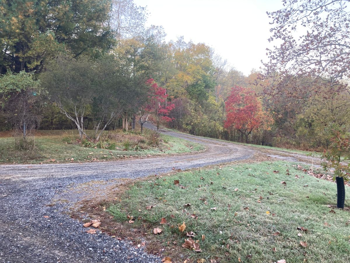 Driveway Regrading for 9999 Building and Renovation LLC in Warrenton, VA