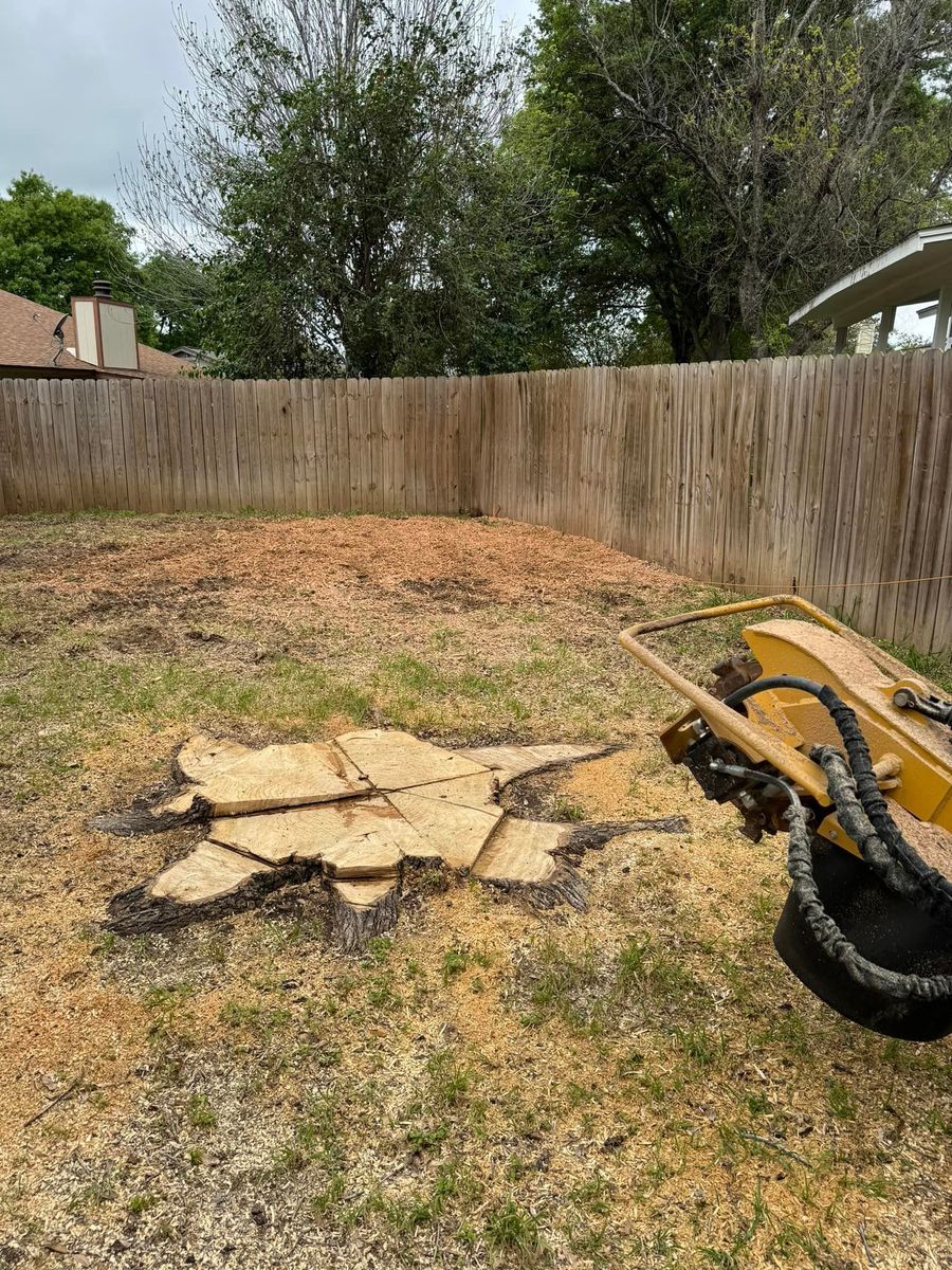 Stump Removal for Z’s Trees LLC in Grey Forest, TX