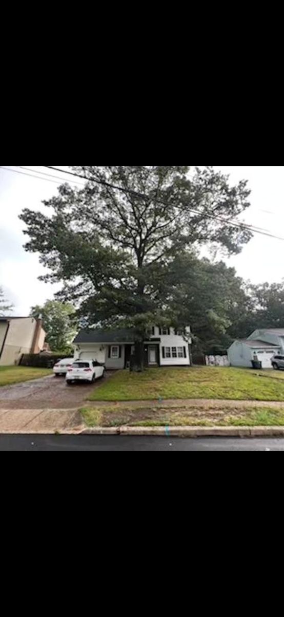 Tree Removal, Stump Grinding, and Brush Removal for Solar Savings by Garrett in Southern New Jersey, NJ