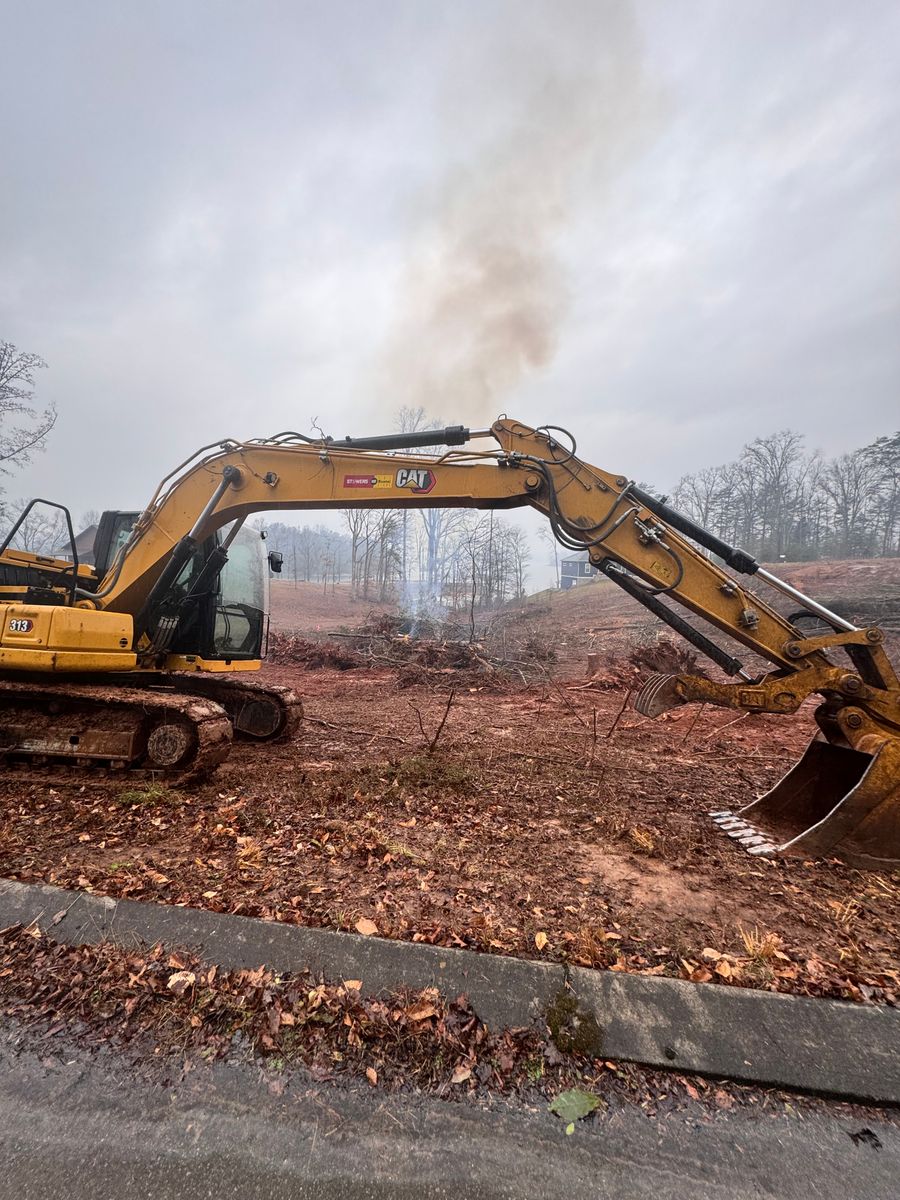Tree Removal for Leal’s Lawn Service in Dayton, TN