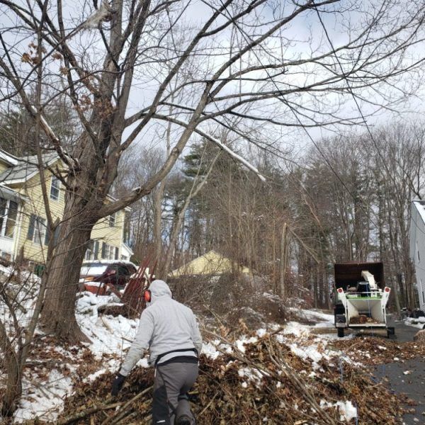 Storm Clean Up  for Redemption Tree & Landscape LLC  in Oakham, MA