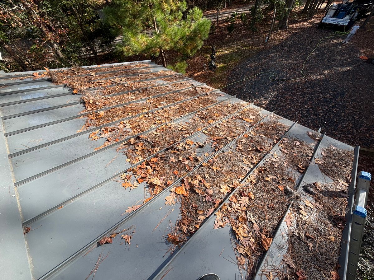 Home Softwash for Living Stream Pressure Washing in Wilmington, NC