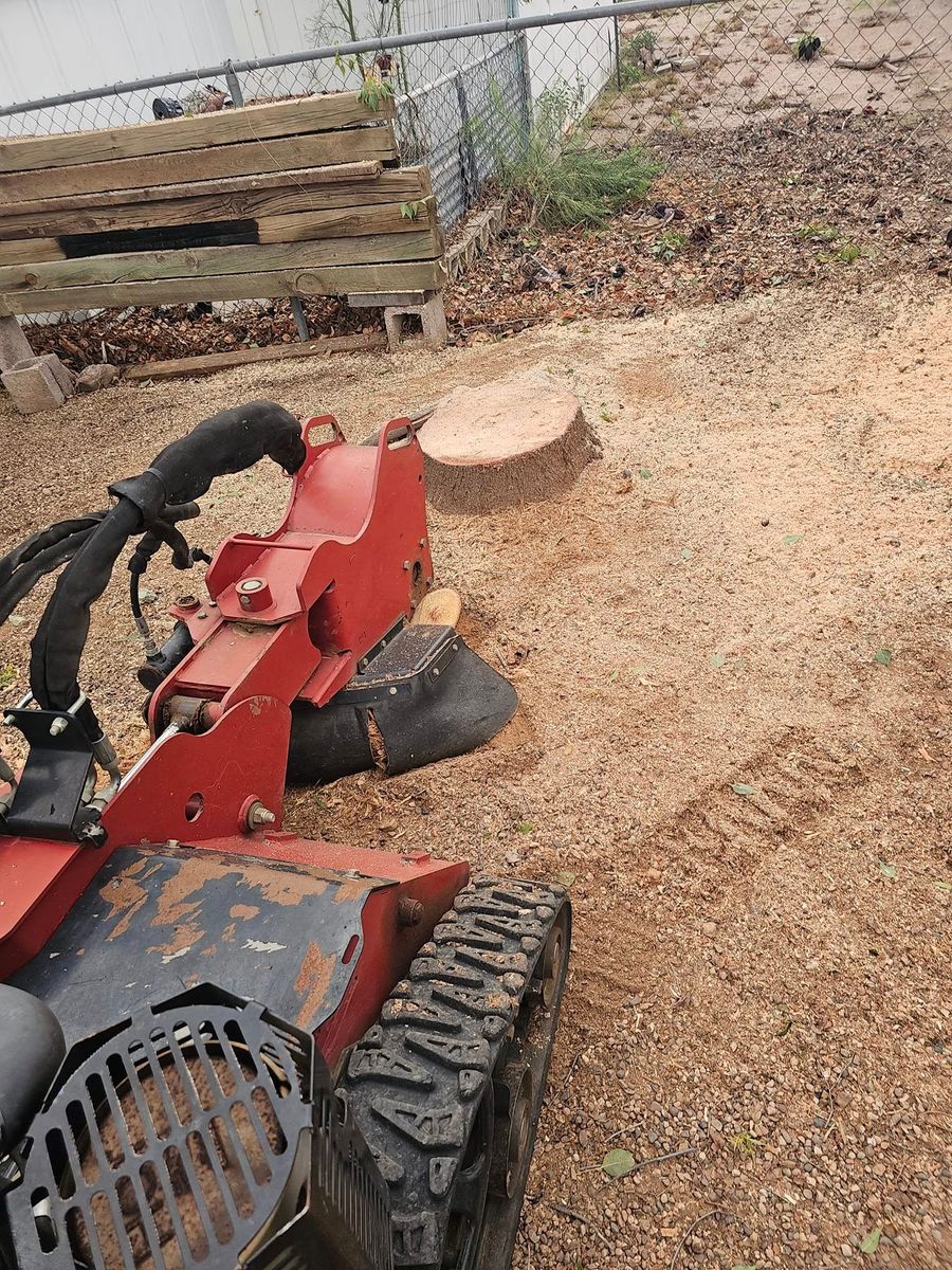 Stump Removal for T's Tree Service and Firewood in Apache Junction, AZ