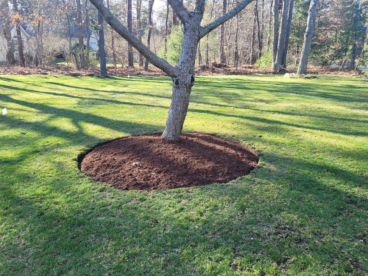 Mulch Installation for Reyky Landscaping & Masonry LLC in Providence,  RI