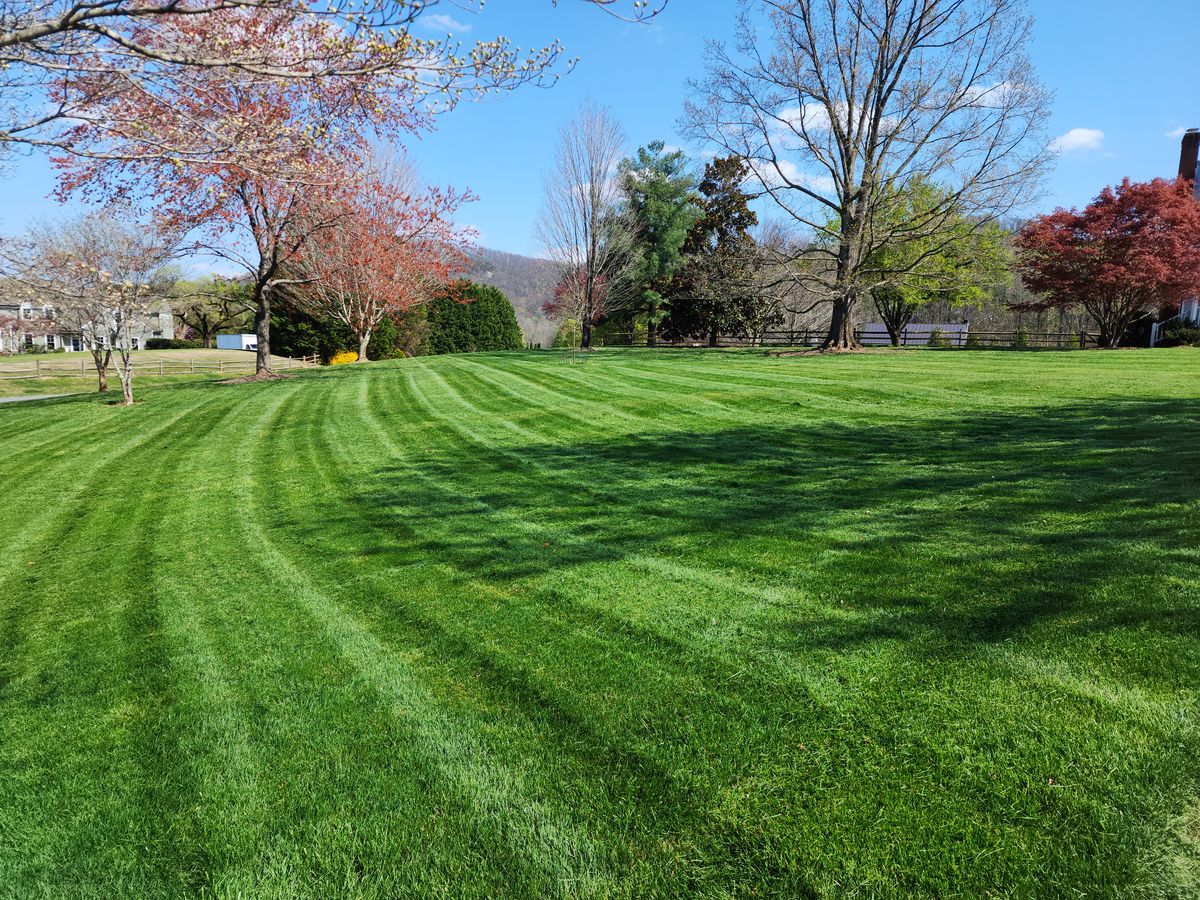 Commercial & Residential Mowing for Lakeside Landscaping  in Gordonsville, VA