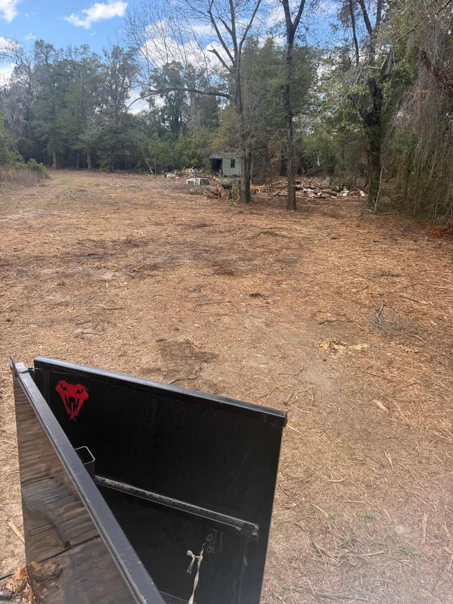 Tree and Vegetation Removal for Dude's Crew in Bristol, FL