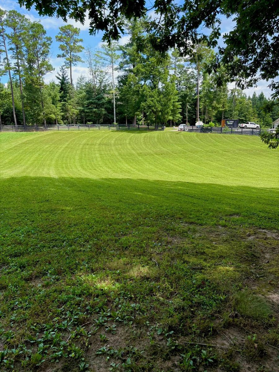 Mowing for Taylormade Lawn Management in Clarkesville, GA