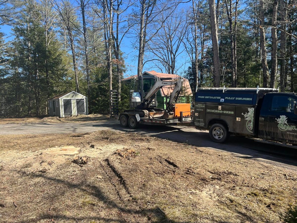 Tree Removal for Abair Tree Service in Weare, NH