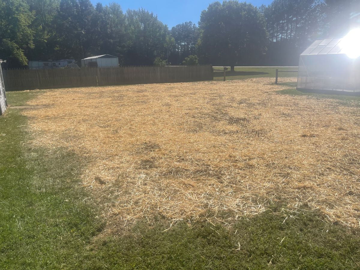 Hydro-seeding and sod installation for Caliber Construction & Excavation in Smyrna, DE