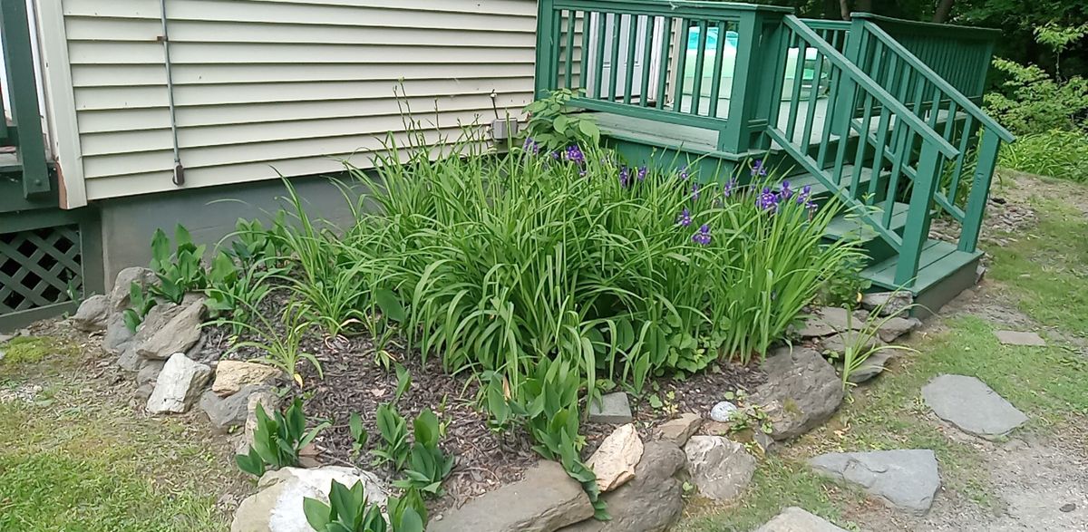 Mulch Installation. for K Brown's Property Maintenance in Pittsfield, MA