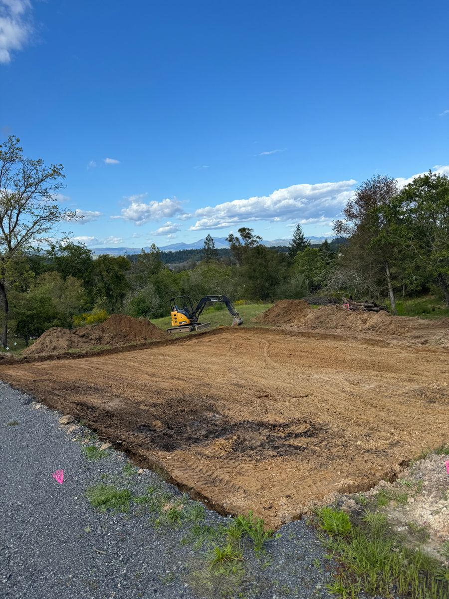 Steel Building Construction for Ren Levine Construction in Novato, CA