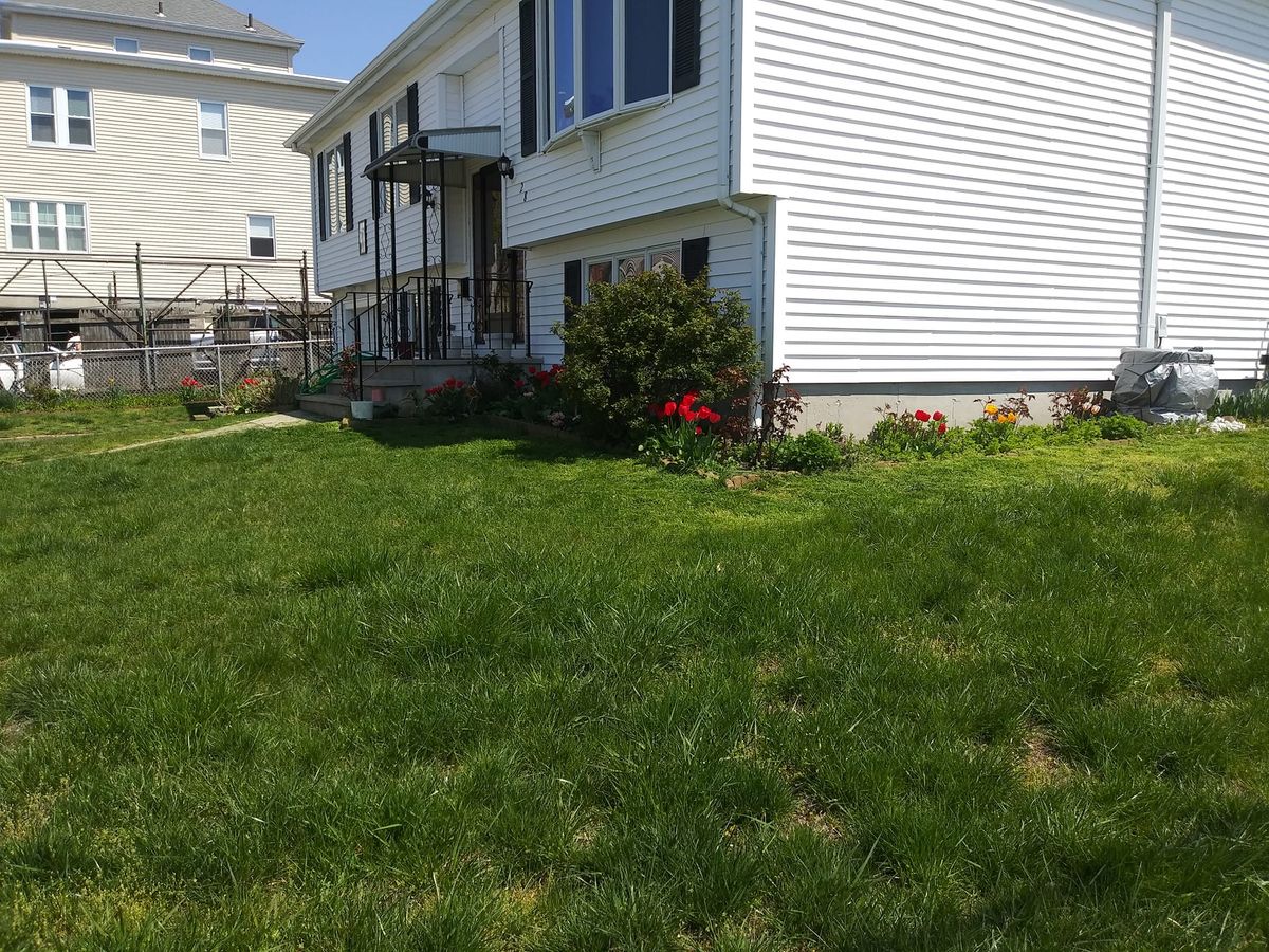 Shrub Trimming for Cadieux's Landscaping in Somerset, MA