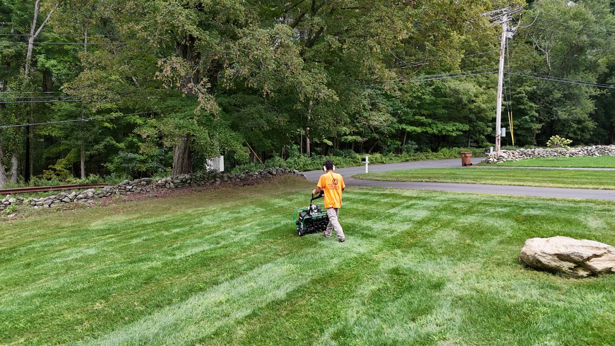 Turf Management for Ace Landscaping in Trumbull, CT
