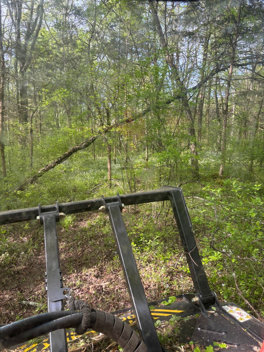 Land Clearing for Gregory Grass and Lawn in Lafayette, TN