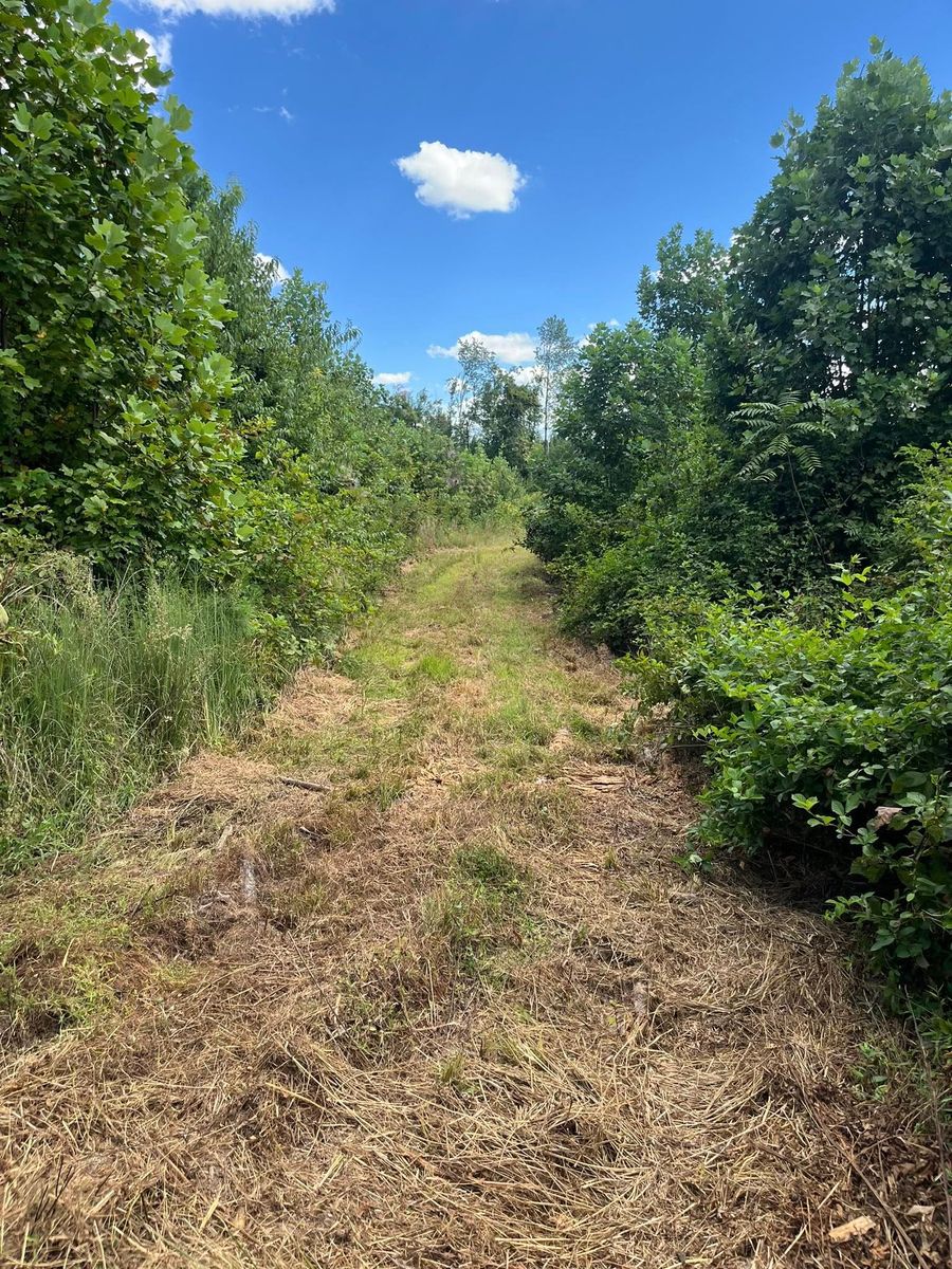Brush cutting/clearing for Southside Land Management in Gretna, VA