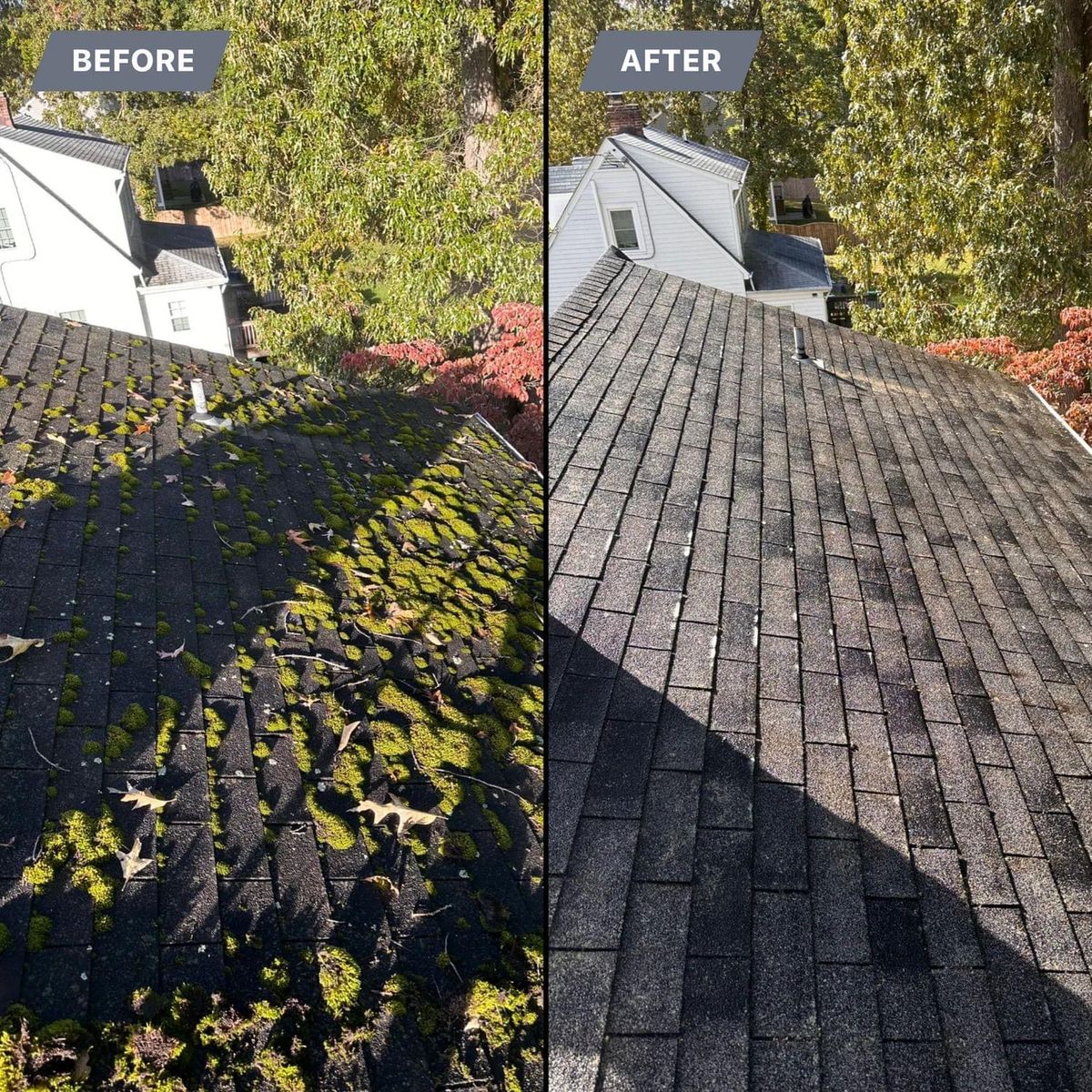 Roof Soft Wash for LeafTide Solutions in Richmond, VA