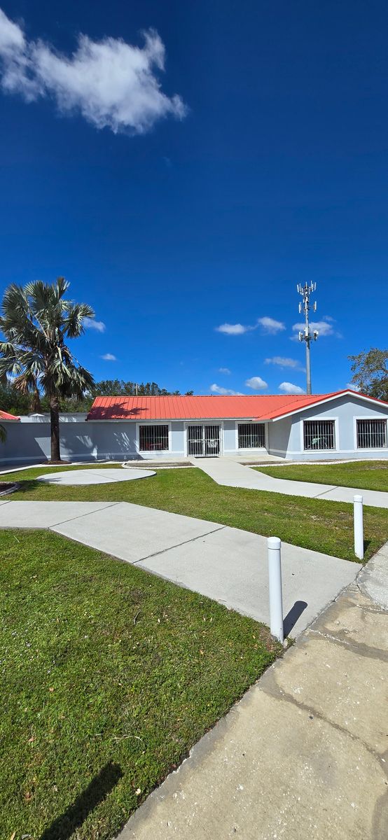 Commercial Pressure Washing for Blue Stream Roof Cleaning & Pressure Washing in Tampa, FL