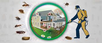 Pest Control Services for Prosper Renovations in Kyle, TX