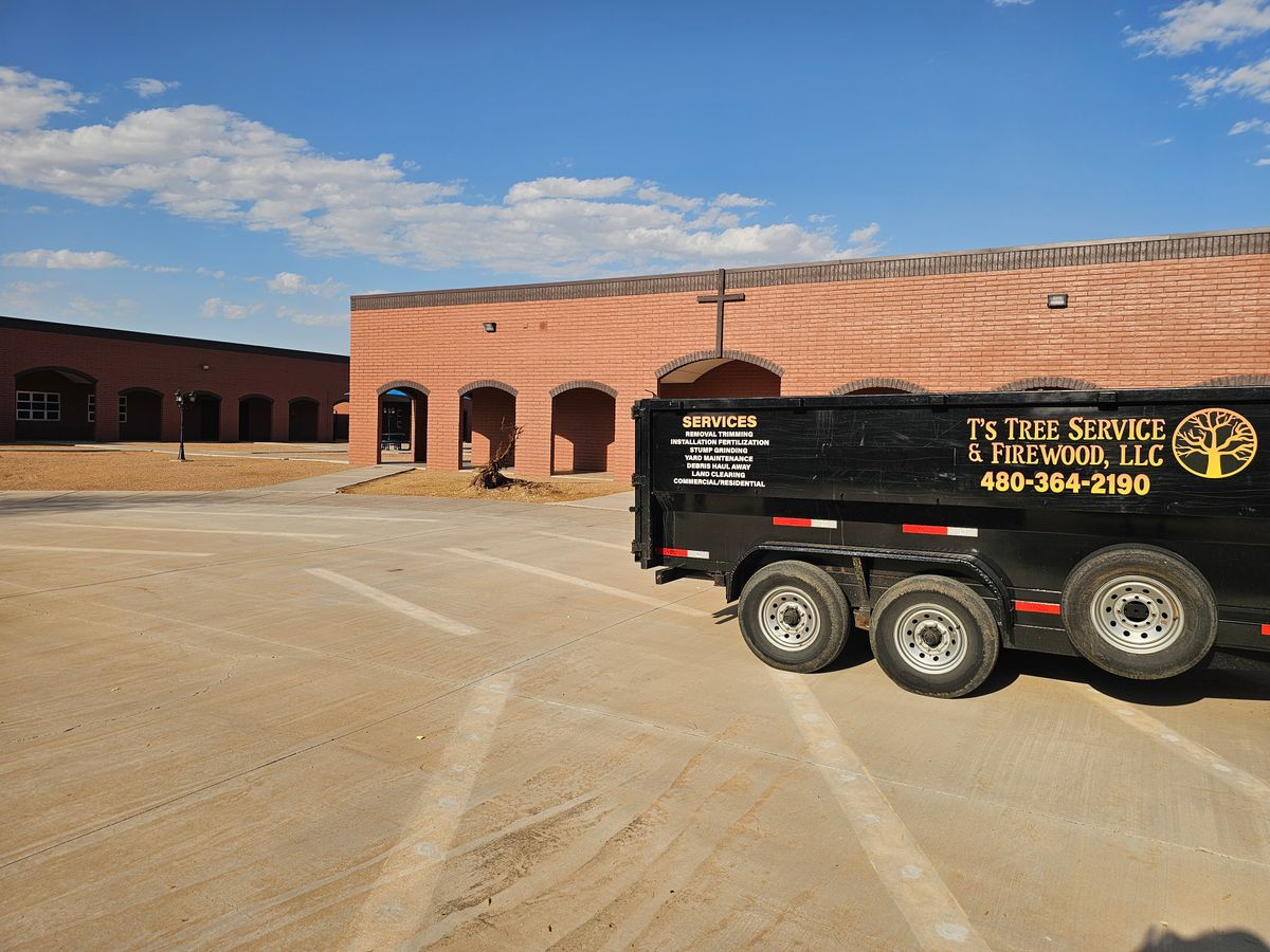 Tree Removal for T's Tree Service and Firewood in Apache Junction, AZ