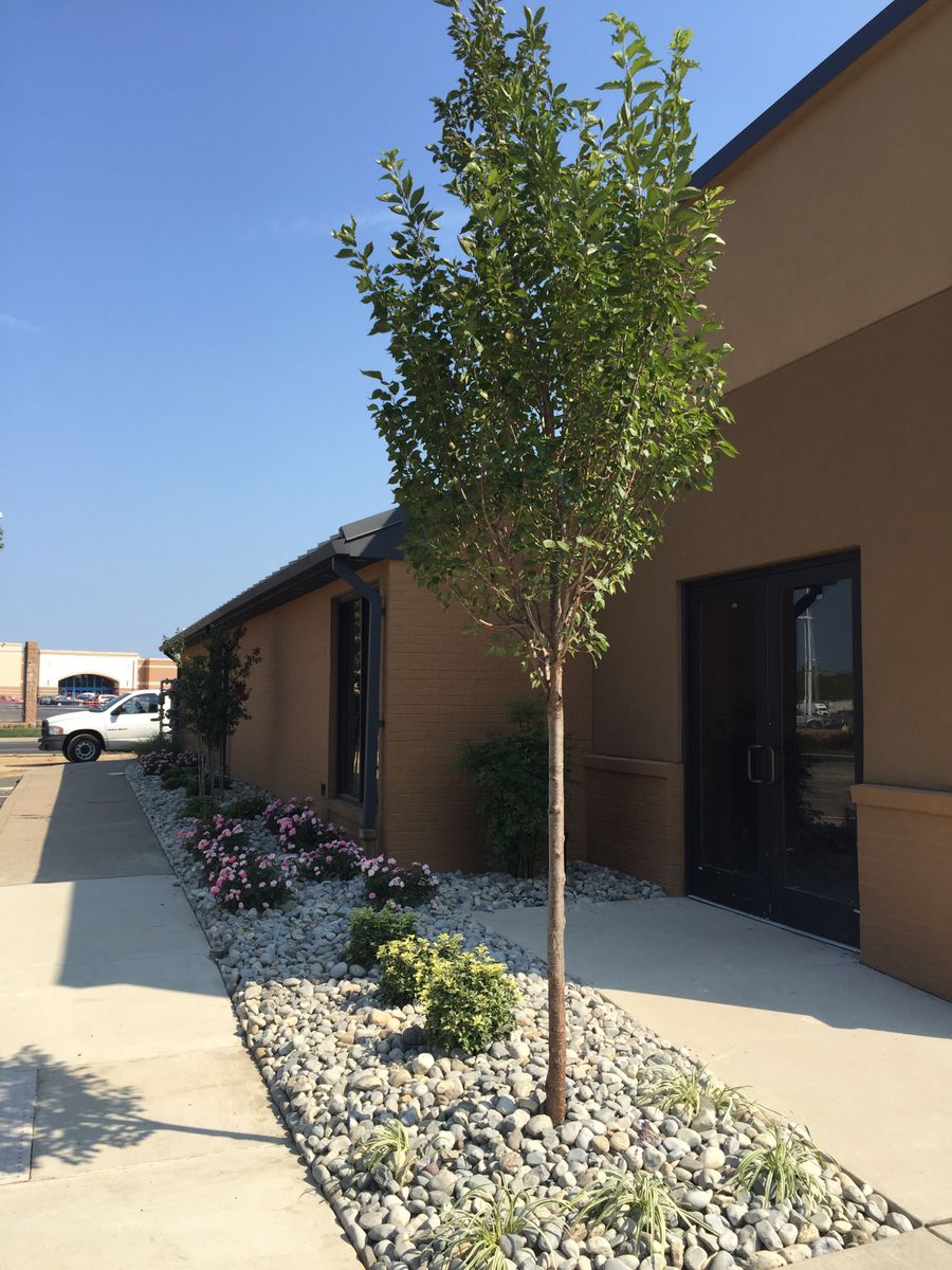 Weeding for The FAAR Group INC in Chalfont, PA