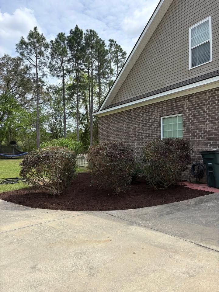 Tree & Shrub Care for Scalco’s Land Services in Statesboro, GA