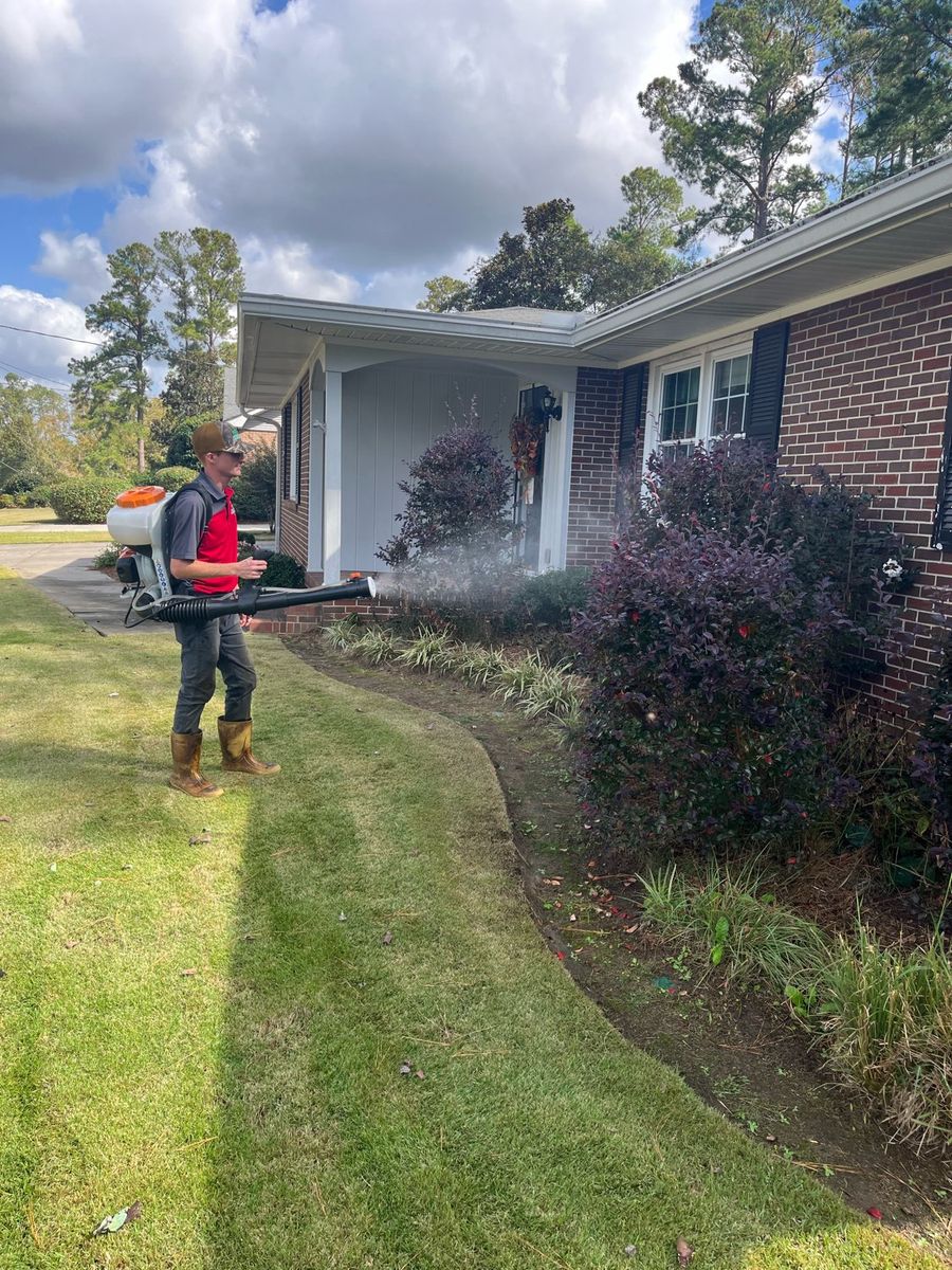 Mosquito Control for Kathleen's Lawn & Shrub Care in Augusta, GA