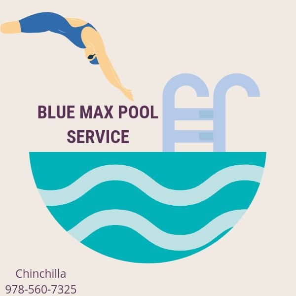  Inground Pool Services for Blue Max Pool Service Inc. in Framingham, MA