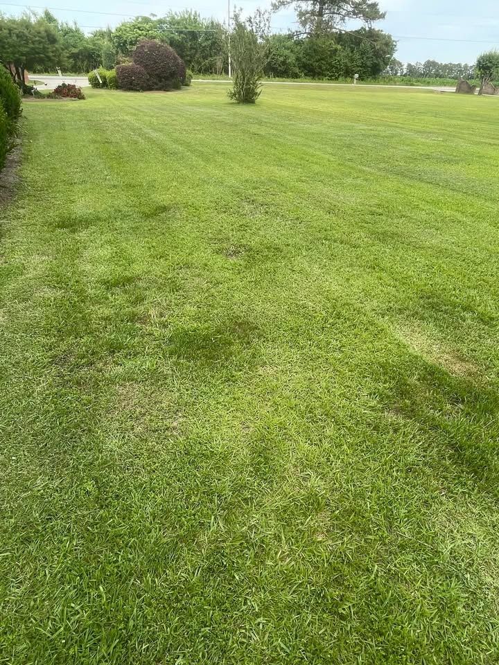 Lawn Maintenance for Trinity Landscapes  in Lumberton, NC