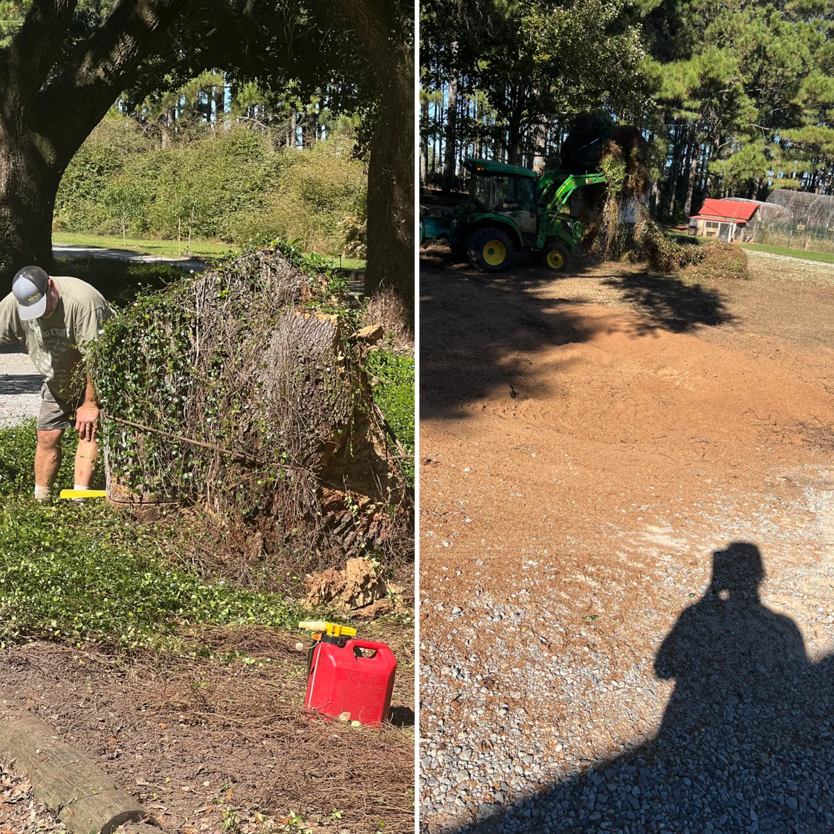 Tree Services for Southern Venom Services in Daphne, AL