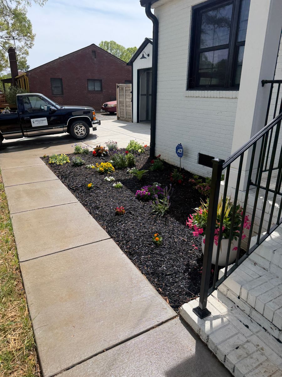 Mulching and pine needling for Holloway Yard Company in Winston-Salem, NC
