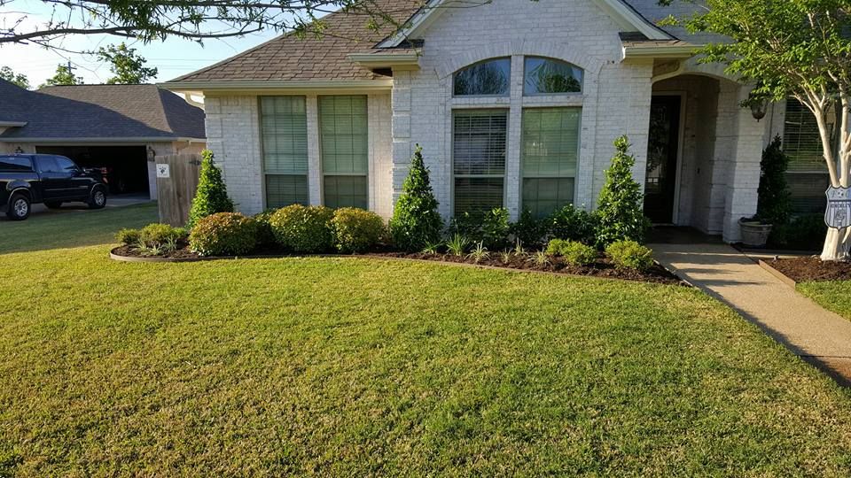 Tree & Shrub Care for Brazos Valley Greenscapes in College Station, TX