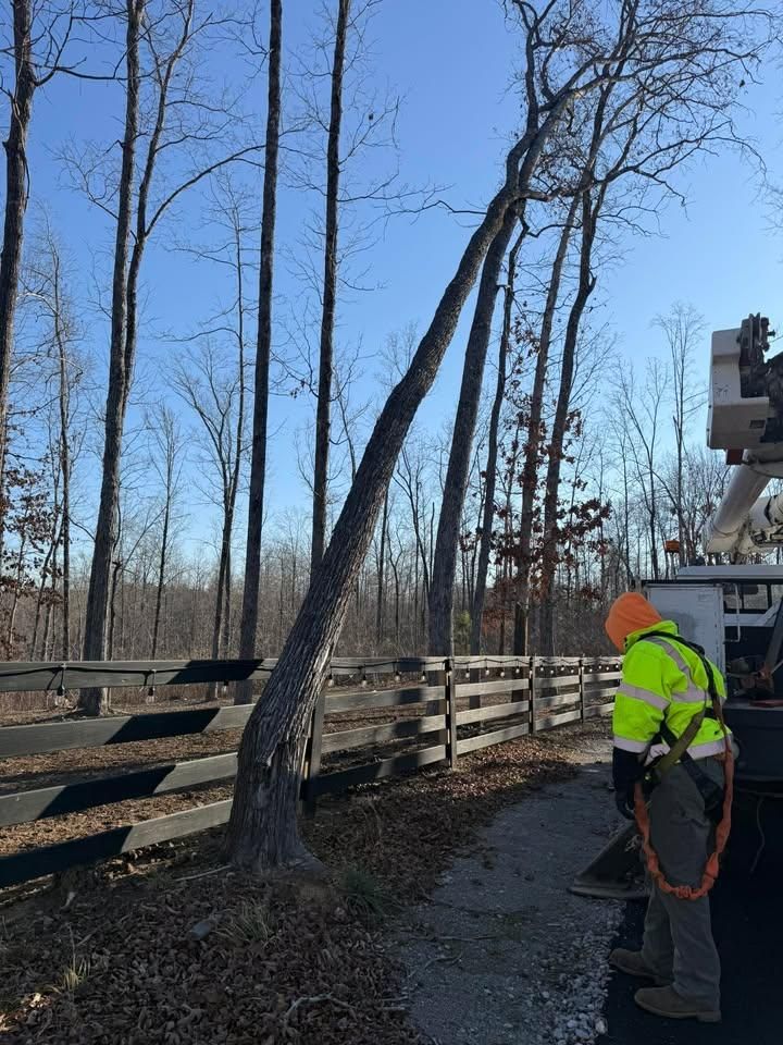 Tree Removal for Ross Family Tree Service LLC  in Hohenwald, TN