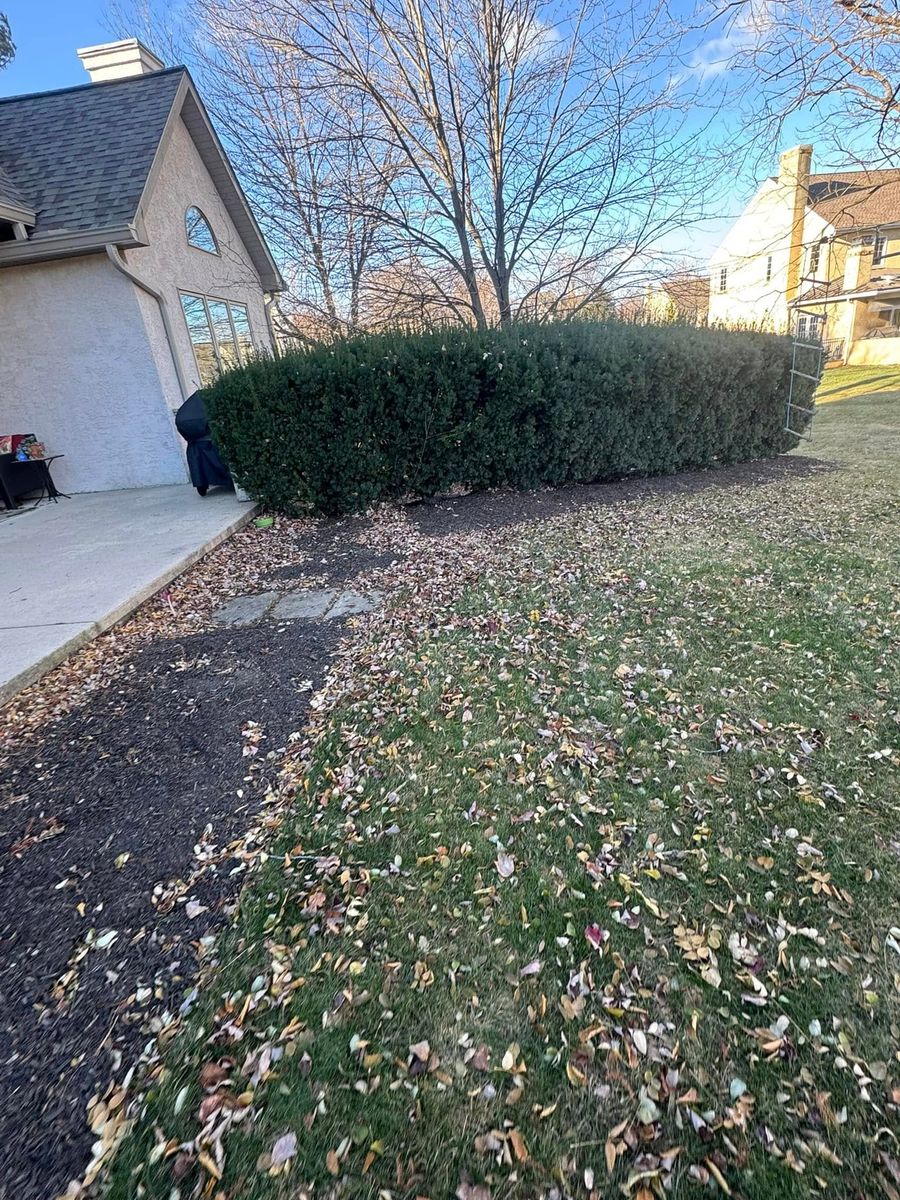 Shrub Trimming for Landscape & Lawn Care Pros in Temple, PA
