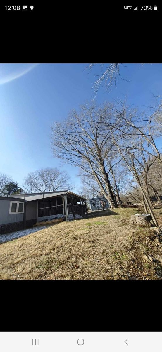 Tree Removal for M&L Lumber and Excavating in Jonesborough, TN