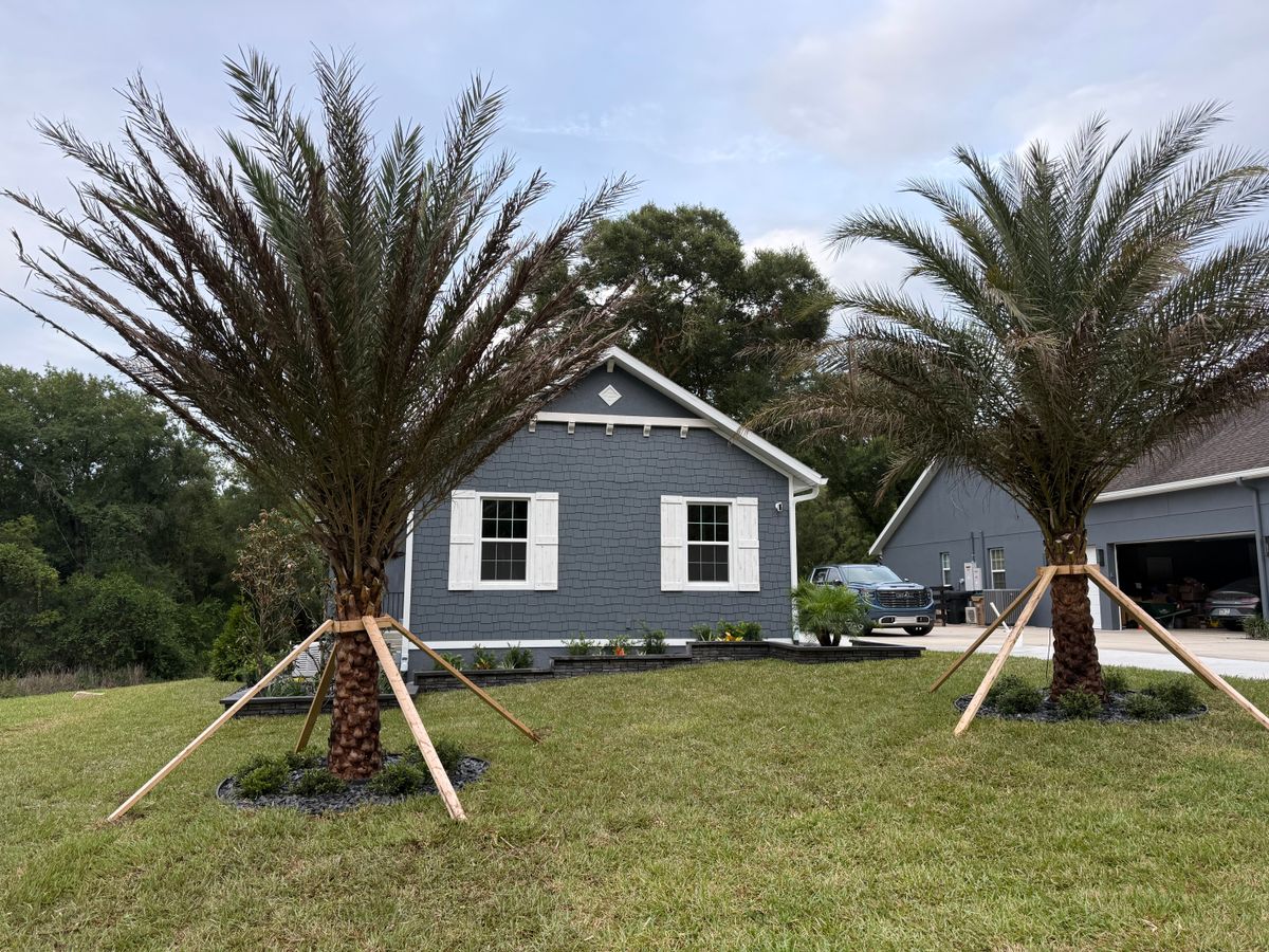 Landscape Installation for Amerigrown Tree And Lawn in Apopka, FL