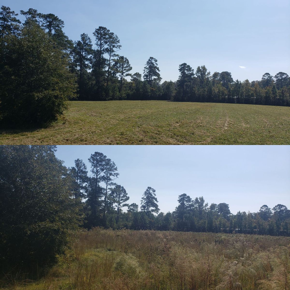 Bush Hogging for TJ Farm and Land Management in Loris, SC