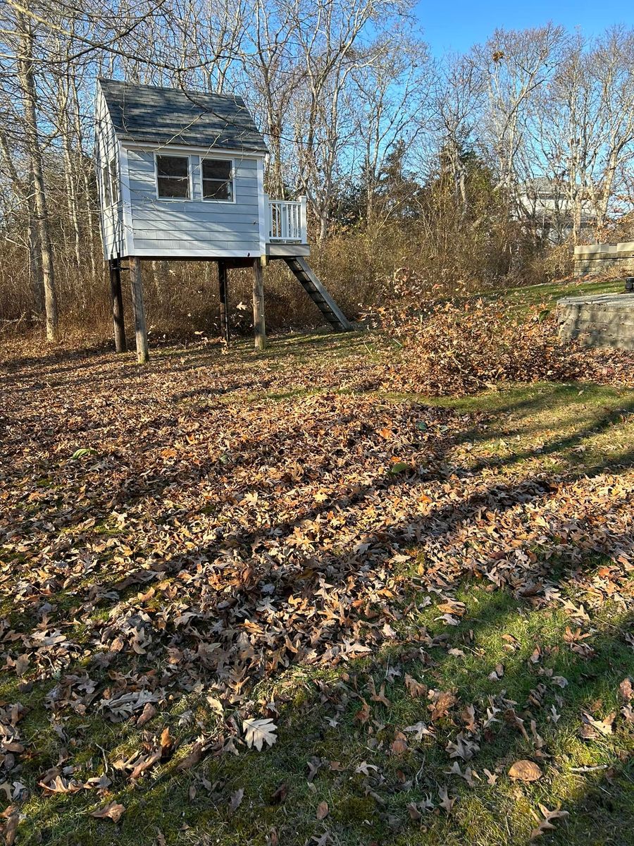 Fall Clean Up for Jose & Sons Landscaping in New Bedford, MA