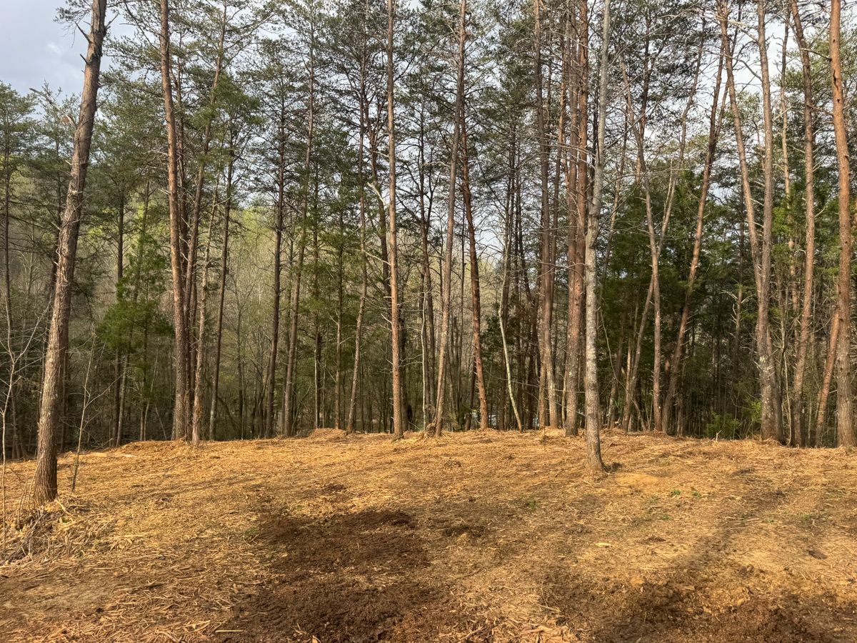 Land Clearing for Miller Farms Hay & Land Management in Knoxville, TN