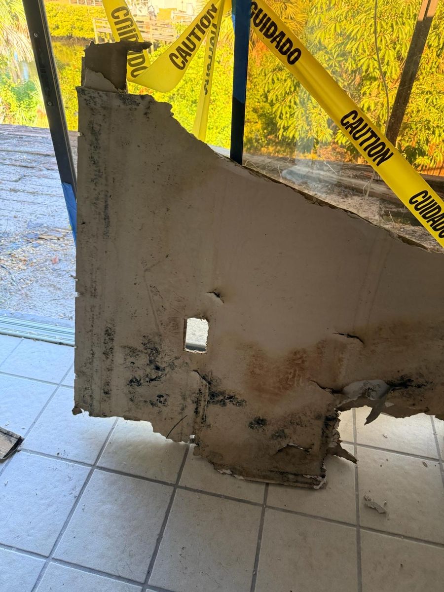 Mold Remediation for N&D Restoration Services: When Disaster Strikes, We Come In in Cape Coral,  FL